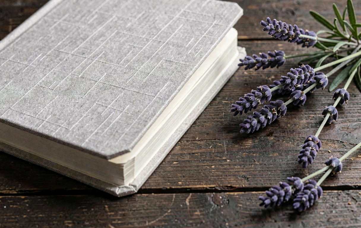 Documentación de estándares